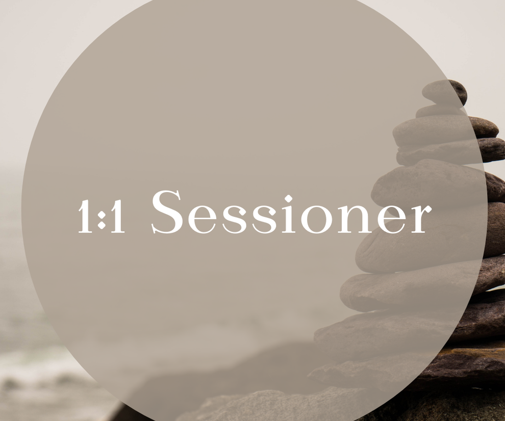 1 TIL 1 SESSIONER