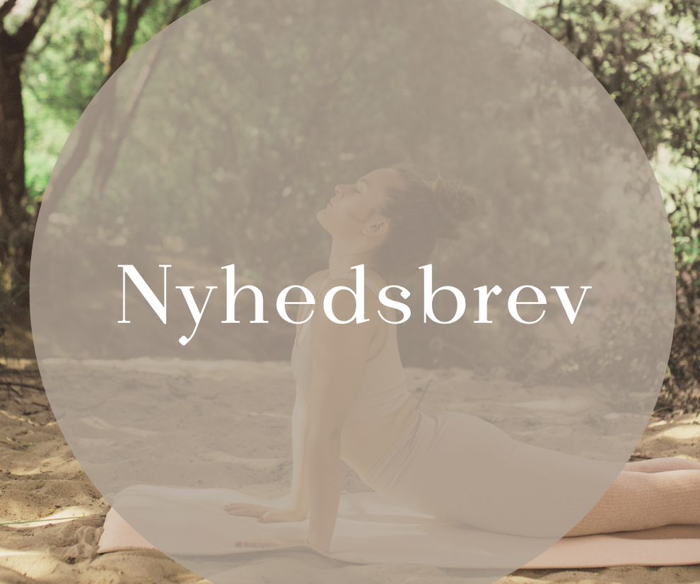 Nyhedsbrev